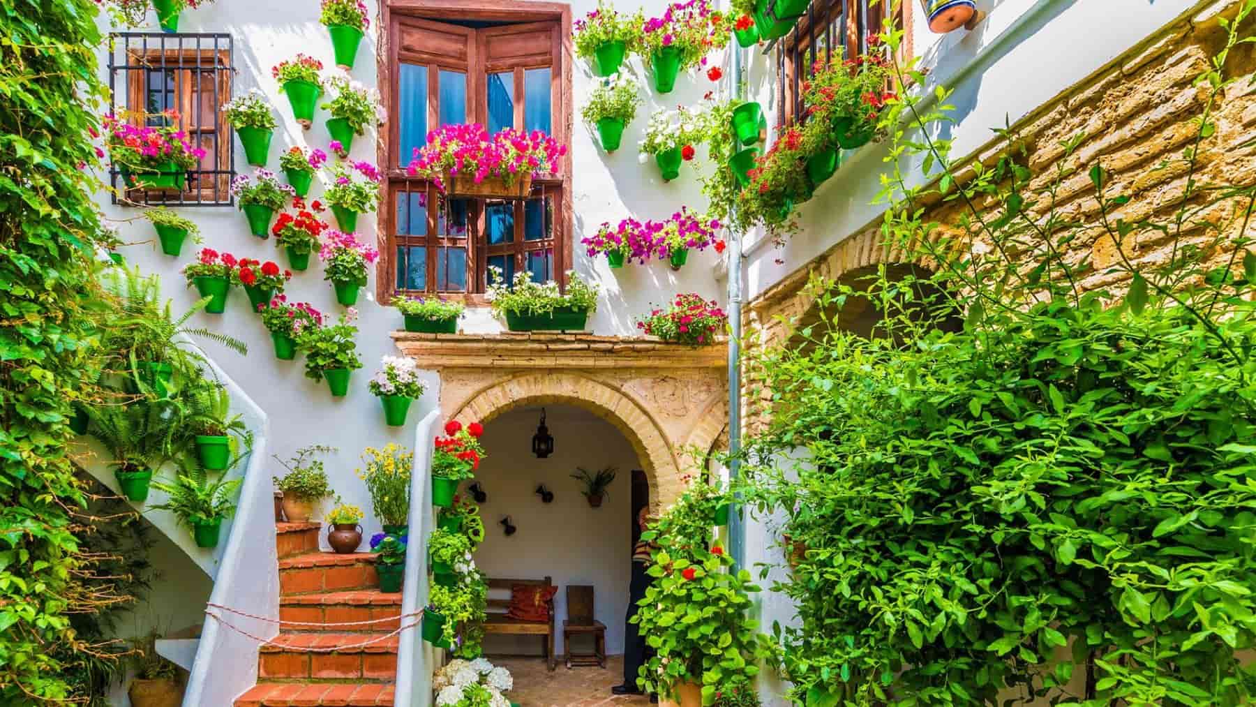 Tour por los patios de cordoba